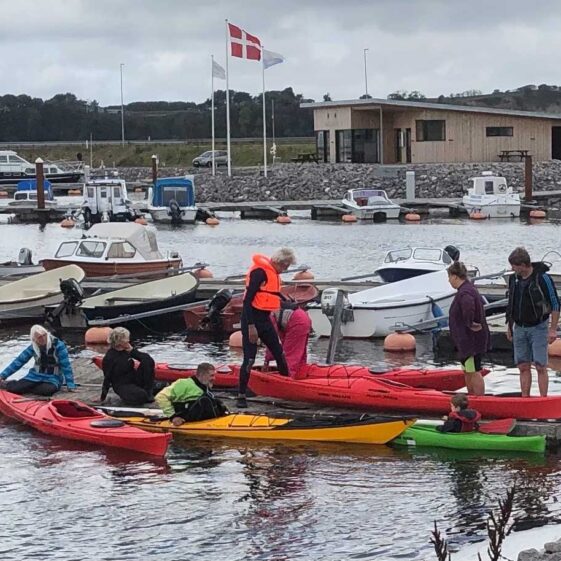 Kajakker i Havnen