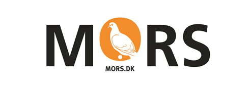 Besøg Morsø Kommune